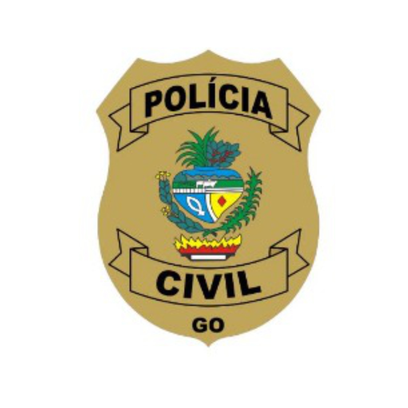8º Delegacia Regional da Polícia Civil